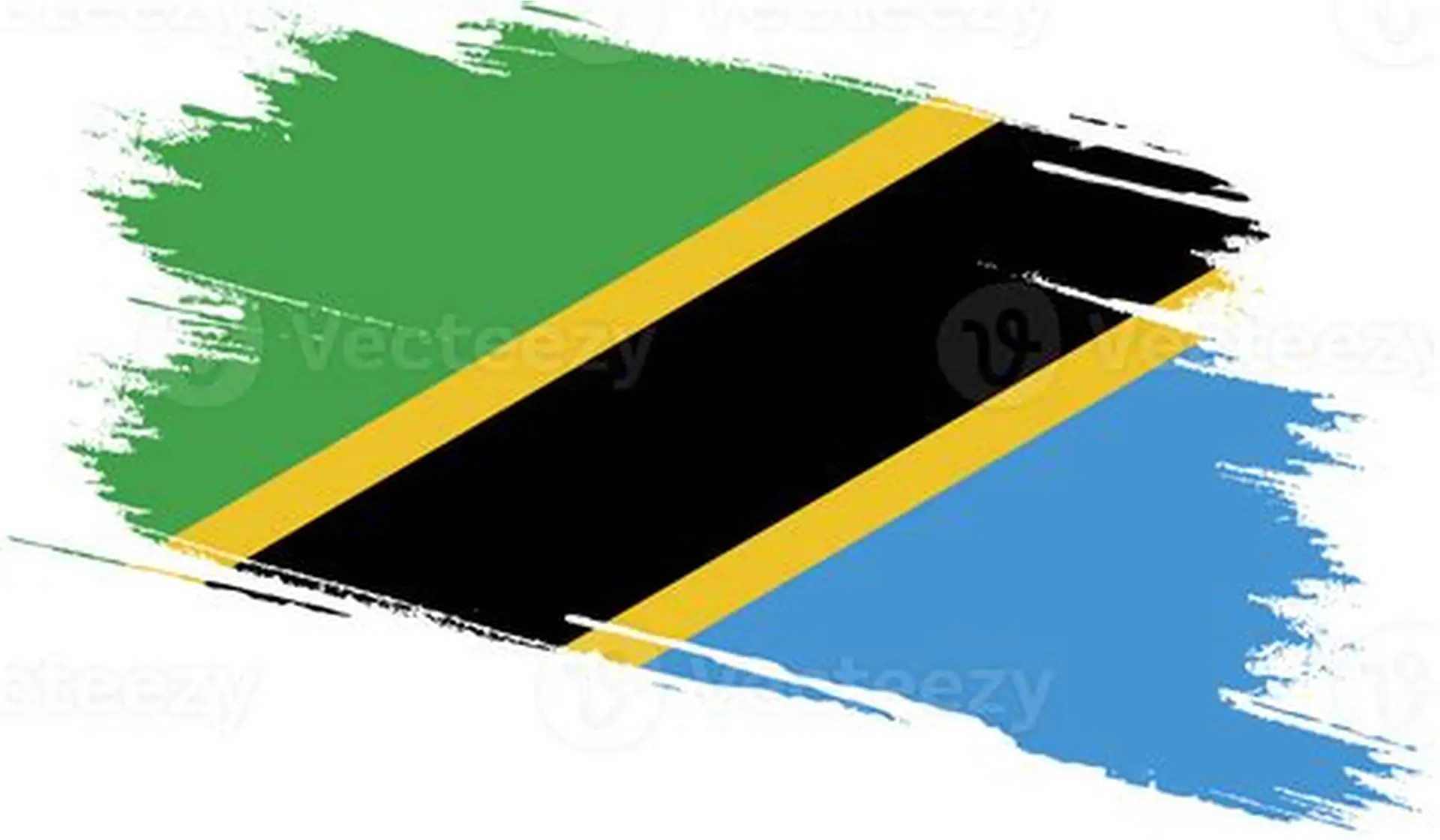 Tanzania Flag